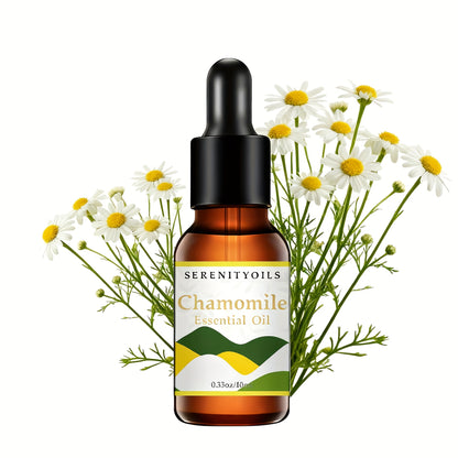 1 unidade, 12 Óleos Essenciais para Escolher (0.33oz Cada) – Perfeito para Yoga, Difusores e Purificadores de Ar: Lavanda, Rosa, Gardênia, Camomila, Lírio-do-Vale, Melissa, Eucalipto, Sálvia, Bergamota, Incenso, Sândalo