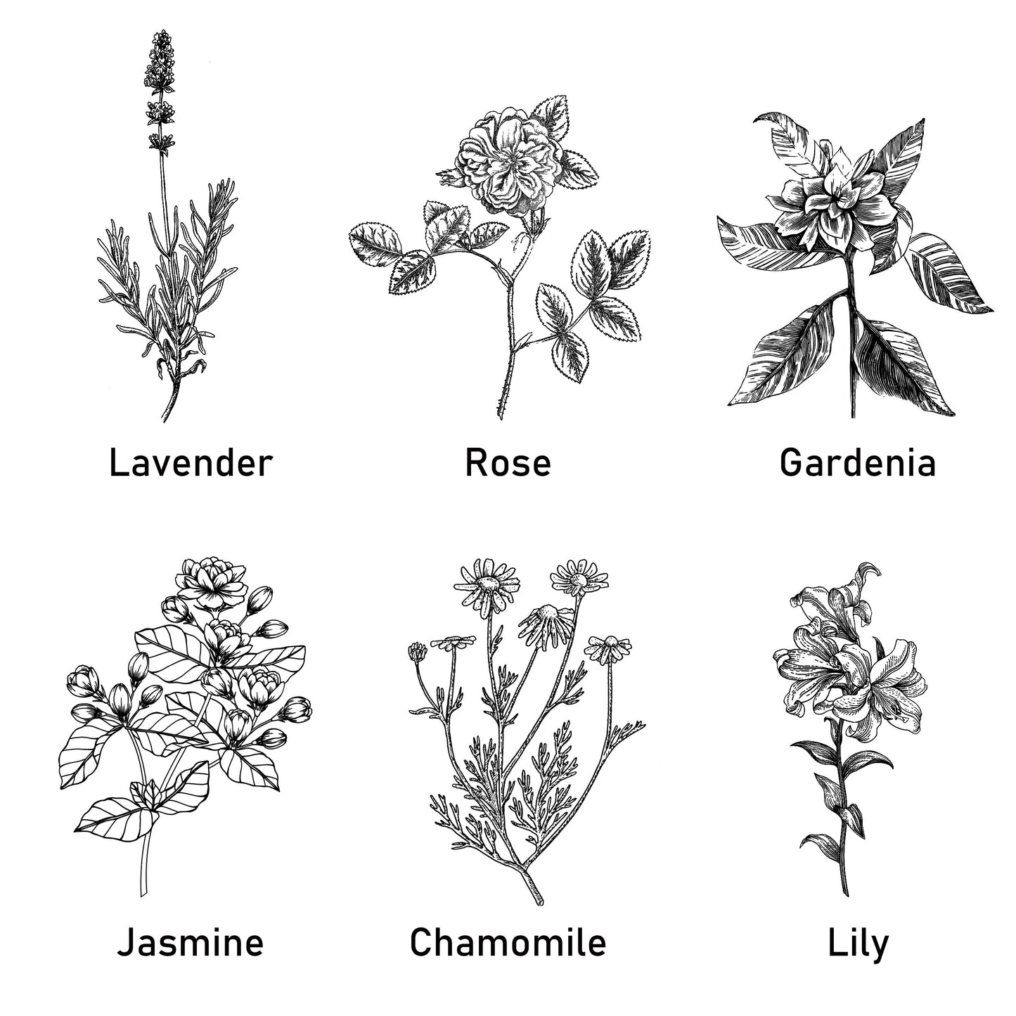 1 unidade, 12 Óleos Essenciais para Escolher (0.33oz Cada) – Perfeito para Yoga, Difusores e Purificadores de Ar: Lavanda, Rosa, Gardênia, Camomila, Lírio-do-Vale, Melissa, Eucalipto, Sálvia, Bergamota, Incenso, Sândalo