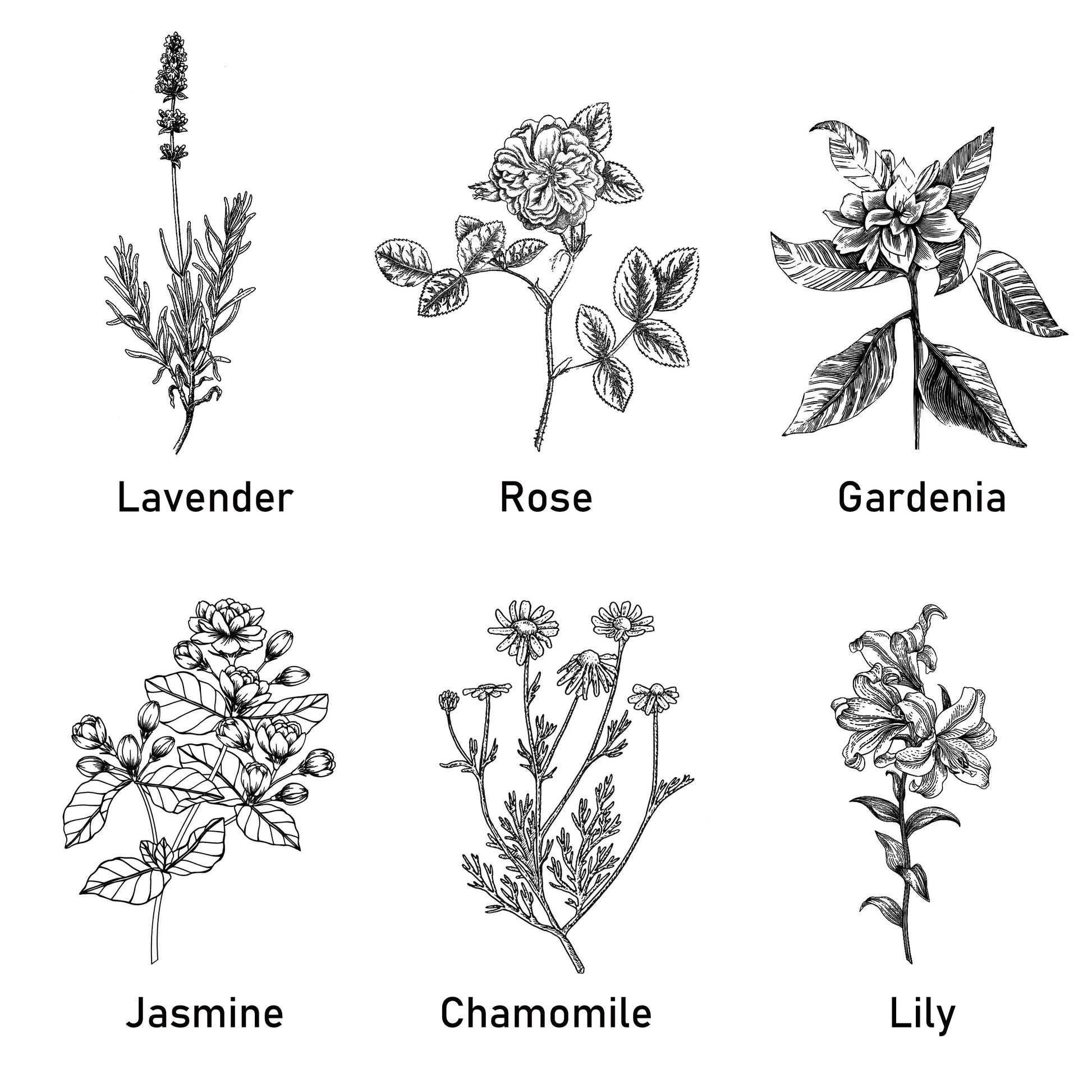 1 unidade, 12 Óleos Essenciais para Escolher (0.33oz Cada) – Perfeito para Yoga, Difusores e Purificadores de Ar: Lavanda, Rosa, Gardênia, Camomila, Lírio-do-Vale, Melissa, Eucalipto, Sálvia, Bergamota, Incenso, Sândalo