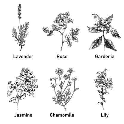 1 unidade, 12 Óleos Essenciais para Escolher (0.33oz Cada) – Perfeito para Yoga, Difusores e Purificadores de Ar: Lavanda, Rosa, Gardênia, Camomila, Lírio-do-Vale, Melissa, Eucalipto, Sálvia, Bergamota, Incenso, Sândalo