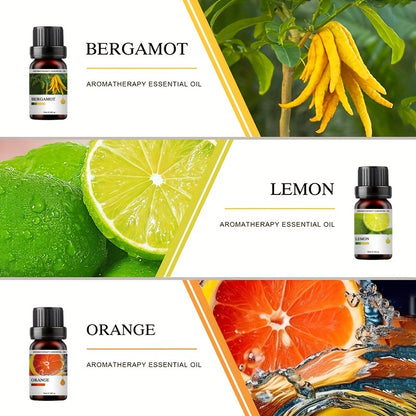 Conjunto de 6 Frascos de Óleos Essenciais | Cada 10ML, Inclui Difusor, Vela, Queimador, Pedra, Humidificador, Uso em Carro & Casa, Presente de Natal Perfeito