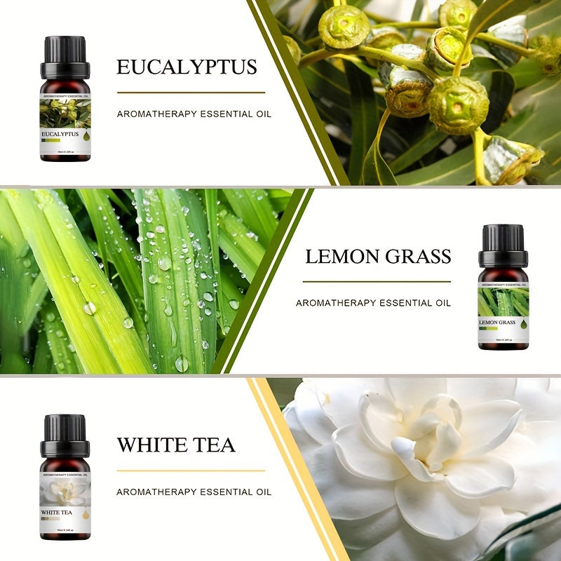 Conjunto de 6 Frascos de Óleos Essenciais | Cada 10ML, Inclui Difusor, Vela, Queimador, Pedra, Humidificador, Uso em Carro & Casa, Presente de Natal Perfeito