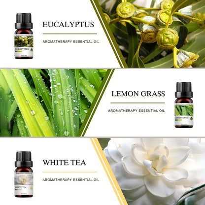 Conjunto de 6 Frascos de Óleos Essenciais | Cada 10ML, Inclui Difusor, Vela, Queimador, Pedra, Humidificador, Uso em Carro & Casa, Presente de Natal Perfeito