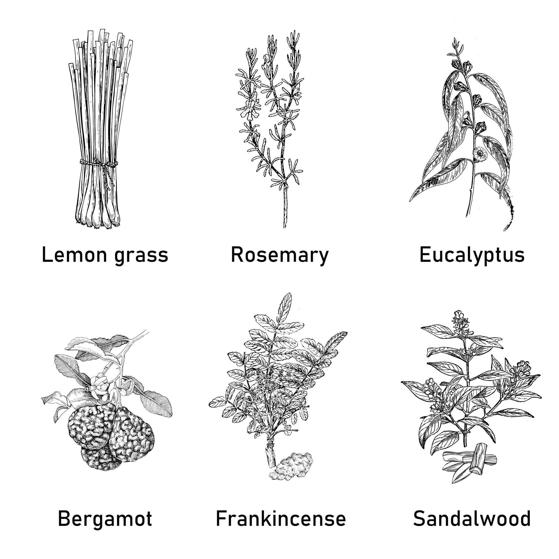 1 unidade, 12 Óleos Essenciais para Escolher (0.33oz Cada) – Perfeito para Yoga, Difusores e Purificadores de Ar: Lavanda, Rosa, Gardênia, Camomila, Lírio-do-Vale, Melissa, Eucalipto, Sálvia, Bergamota, Incenso, Sândalo