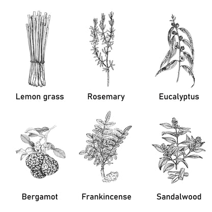 1 unidade, 12 Óleos Essenciais para Escolher (0.33oz Cada) – Perfeito para Yoga, Difusores e Purificadores de Ar: Lavanda, Rosa, Gardênia, Camomila, Lírio-do-Vale, Melissa, Eucalipto, Sálvia, Bergamota, Incenso, Sândalo